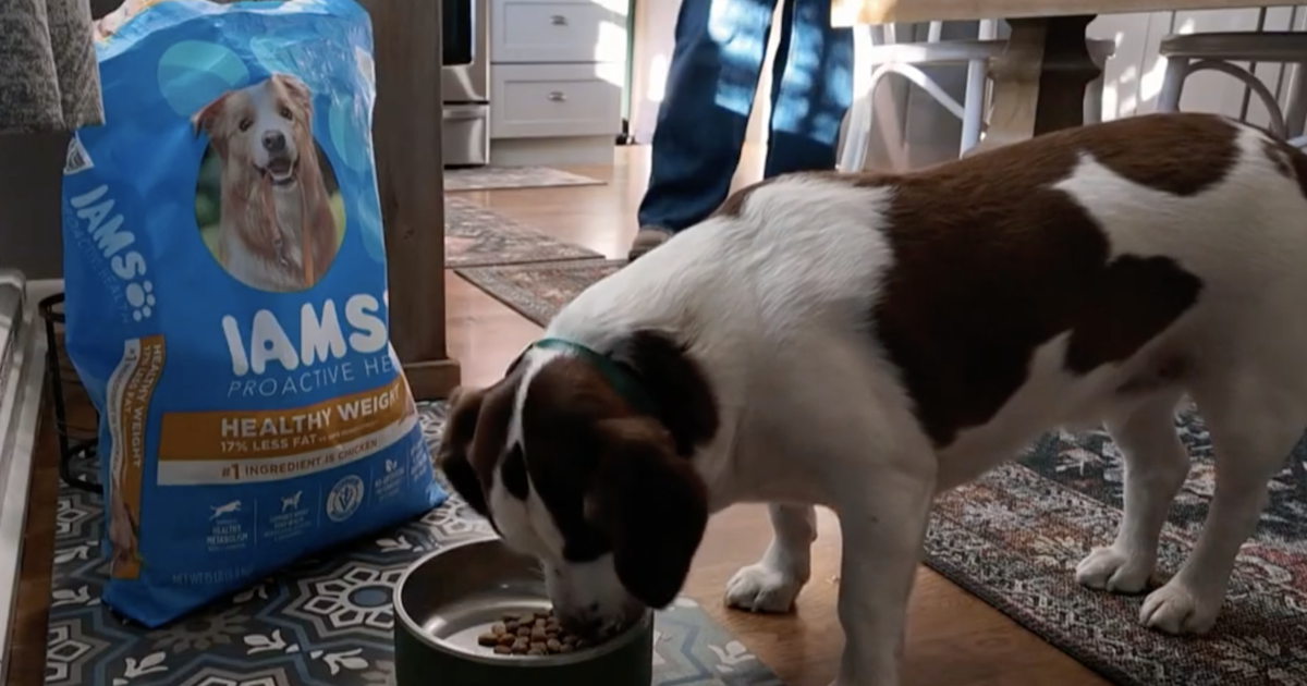 dog-health-weight-loss