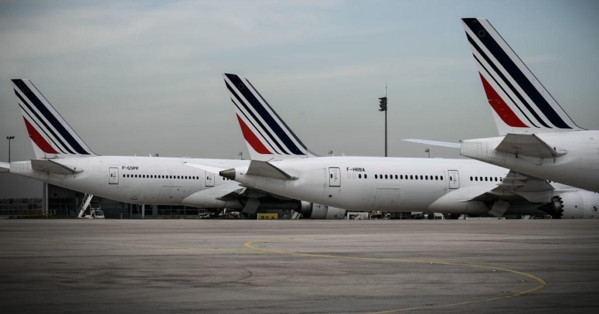 paris-airport-dog-escape-drone-search