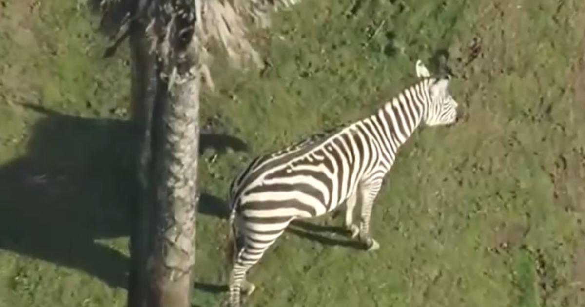 tsunami-warning-san-francisco-evacuations