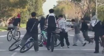 A Bicyclist’s Nightmare: The Shocking Assault by a Teenage Mob in Los Angeles