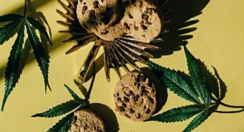 Tragedy Strikes: Teenager’s Disturbing Reaction to Marijuana Edibles Leads to Violence