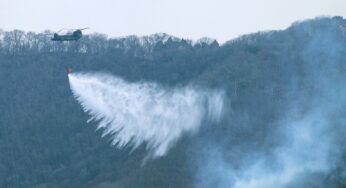 Japan Battles Devastating Forest Fire, Leaving Homes in Ruins and Residents Displaced