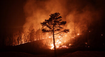 Southern South Korea’s Wildfires: A Catastrophe Unfolds as 18 Lives Lost and Thousands Displaced