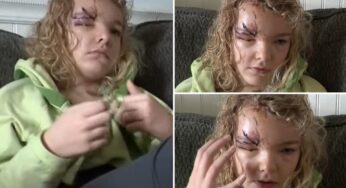 A 9-Year-Old’s Harrowing Encounter: The Dangers of Dog Attacks Revealed