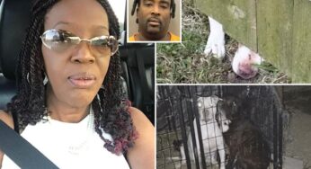 Shocking Attack: Texas Man Faces Charges After Pit Bulls Kill Neighbor Day After Murder Accusation