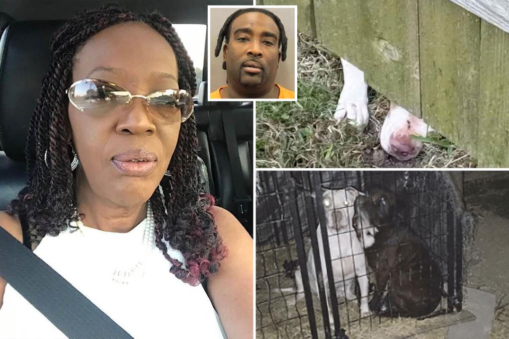 texas-pit-bulls-fatal-mauling