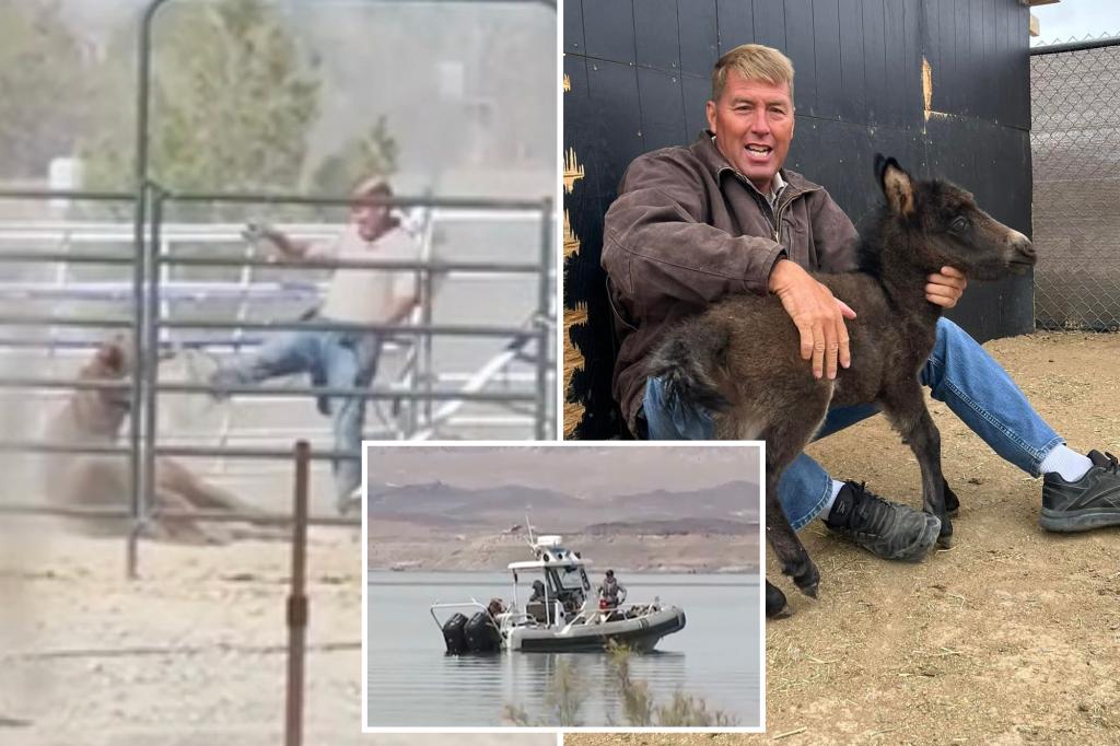 veterinarian-las-vegas-lake-mead-death