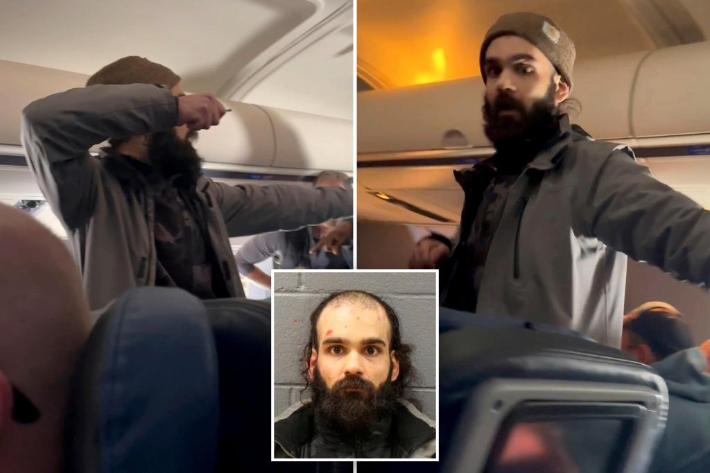midair-assault-passenger-pleads-guilty