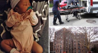 Tragedy in NYC: The Heartbreaking Story Behind a Baby Girl’s Fatal Encounter with a Family Dog