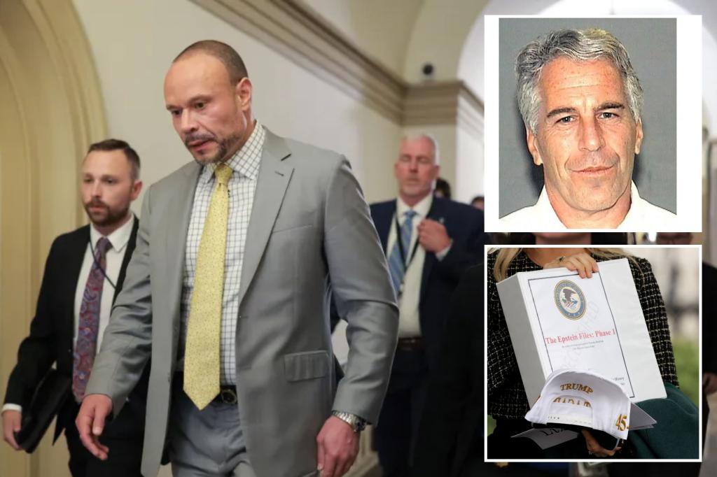 fbi-dan-bongino-epstein-client-list