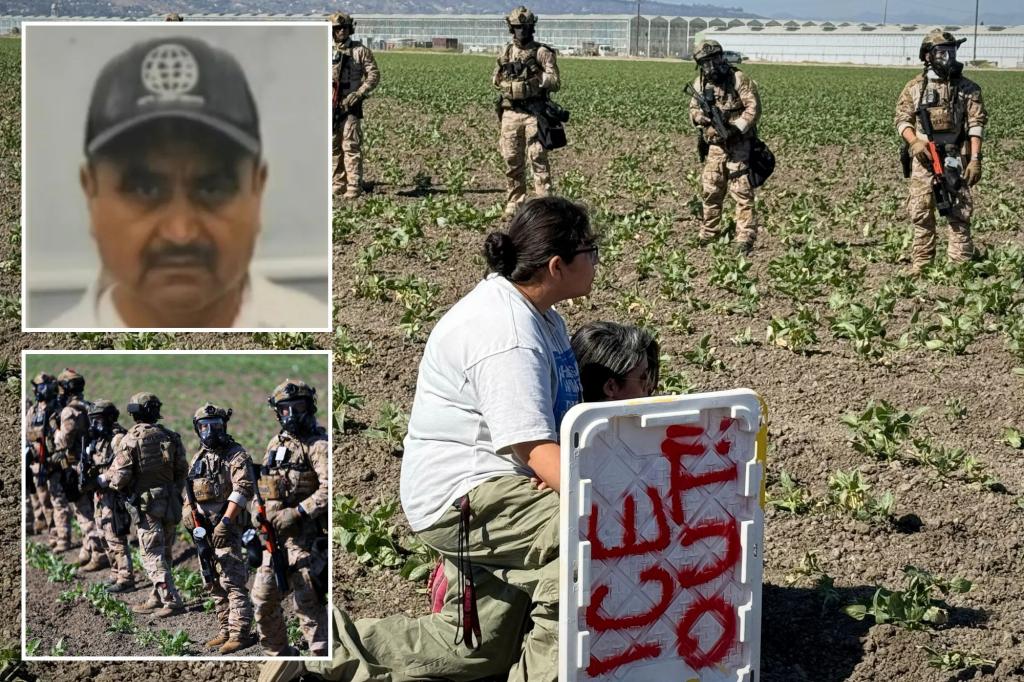 migrant-worker-california-pot-farm-raid